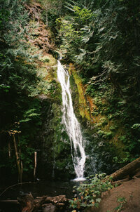 A serene waterfall cascades down lush, moss-covered rocks, surrounded by dense green foliage, creating a tranquil and natural atmosphere.