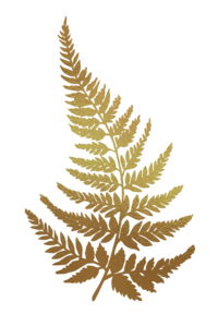 gold metallic fern