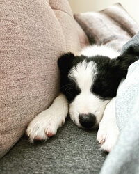 98023D26-6BAB-4ABB-A91E-7DADC213053B