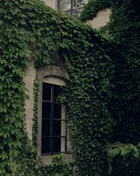 Quote _ Featured Text (3)