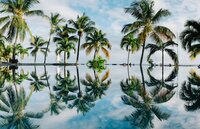 dan-freeman-wAn4RfmXtxU-unsplash