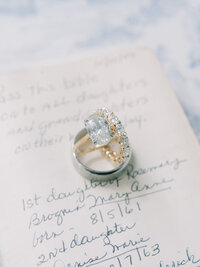 Summer Chicago Botanic Gardens Wedding Highlights | Amarachi Ikeji Photography 36