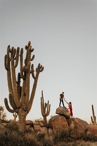 A couple stands on large boulders among towering saguaro cacti during their engagement session in Phoenix, Arizona. One partner reaches up to help the other climb, with the vast desert landscape surrounding them.