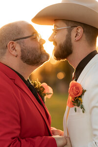 a gay couple kissing during golden hour on a new jersey vineyard wedding venue