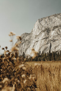 El Capitan in Yosemite Valley in the fall in Yosemite National Park, California