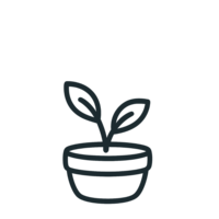 Simple plant sprout icon in a round pot representing initial connection and starting growth together.