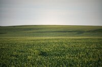 free-photo-of-grass-field-on-a-sunny-day