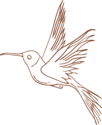 coaching for female entrepreneurs