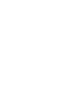 Google G icon in white