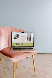 social media fun, bold agency, branding and website design