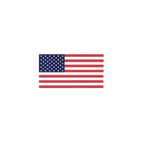 american flag-01