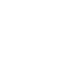 data sci 101 logo