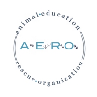 Blue letters spell A E R O inside a circle written in the words "animal education rescue organization."
