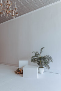 Natural-light photography studio with white walls and modern furniture and props in Troy, MO