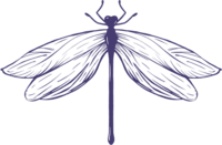 Dragonfly logo mark