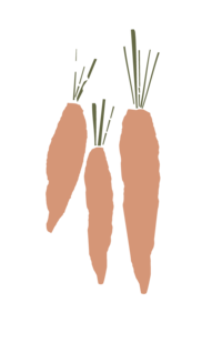 Carrot Icon