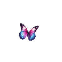Ethereal Butterfly Element in Fairy Star Template Symbolizing Enchantment and Grace