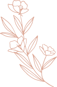 light pink floral illustration