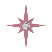 Parlor Picture Co web element pink star