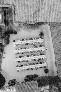 ingridtjernstromdji_fly_20250906_194222_682_1757186825501_photo-2