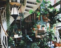 judah-guttmann-212395-unsplash