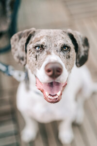 new jersey wedding photographer catching a beautiful image after their first look