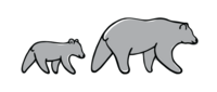 Illustration of two bears