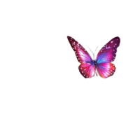 Mystical Butterfly Element in Fairy Star Template Symbolizing Grace and Elegance