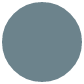 Green circle outlined in white.