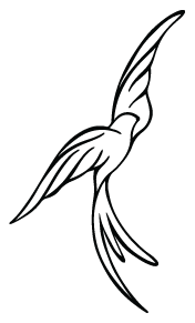 bird