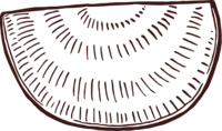 Simple kiwi illustration