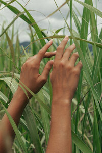 Soft Girl Summer,soft life blog,feminine lifestyle,slow living,international living,luxury wellness,soft life aesthetic,womb wellness,feminine health,vaginal health,pelvic floor health,hormone balance,natural feminine care,menstrual wellness,Yoni care,holistic wellness