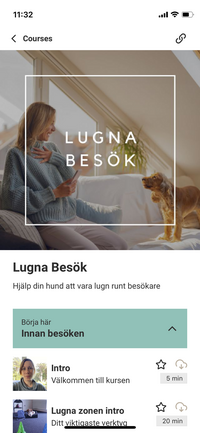 3 weeks to calmness online course for stressed and reactive dogs
