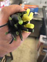 Chef holding a bundle of chives in the kitchen