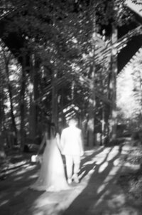 Wedding Photographer