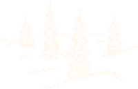 A simple white illustration of 4 trees.