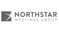 Northstar Logo Gray