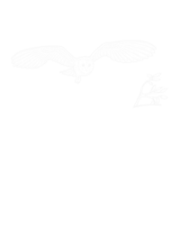 Mindy Hulett Photography logo