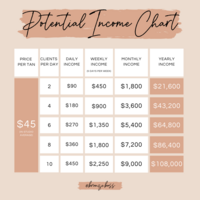 Copy of Income Chart