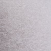 MS Albums LEATHER_0000s_0003_platinum