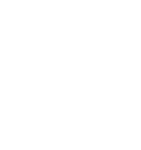 FF Final logo _white_