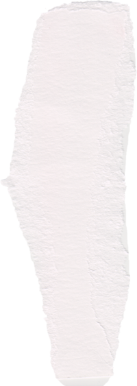 Torn paper web element