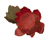 Flower4 copy