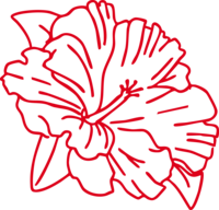 A bold red maga flower illustration, symbolizing Puerto Rican pride and natural elegance with its lush petals and vibrant color.