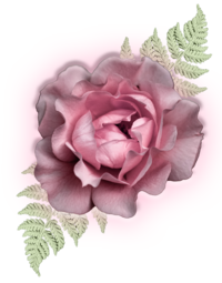 Glowing Single Rose Representing Animal Communication Course
