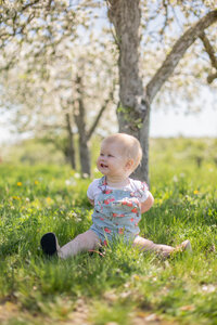 toddler girl sits on grass in an apple orchard in bloom in the spring and smiles off camera