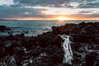 pascal-debrunner-SfNLF6-hxRk-unsplash(1)