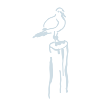 Light blue hand-drawn illustration of seagull sitting on wooden dock.