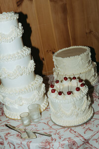 Black and white image of bride in the backseat of a car