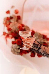 woman holding champagne glass nikki golden photography